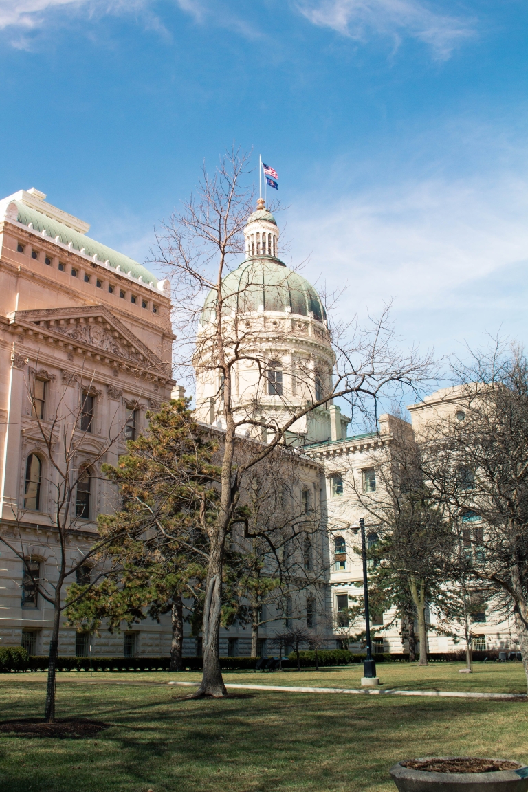 Coverdell ESA Vs South Carolina ESA Palmetto Promise Institute   Trees In Front Of Indiana Statehouse Stockpack Pexels 768x1152 