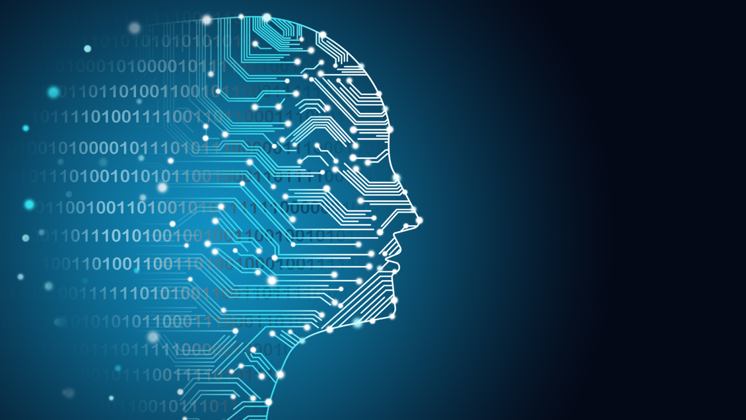 The History and Future of Curriculum Transparency in South Carolina